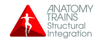 Anatomy Trains Structural integration